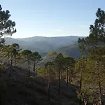 La Rueda