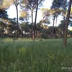 Casa Rural Los Pinos