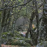 Hostel El Lago, Caceres