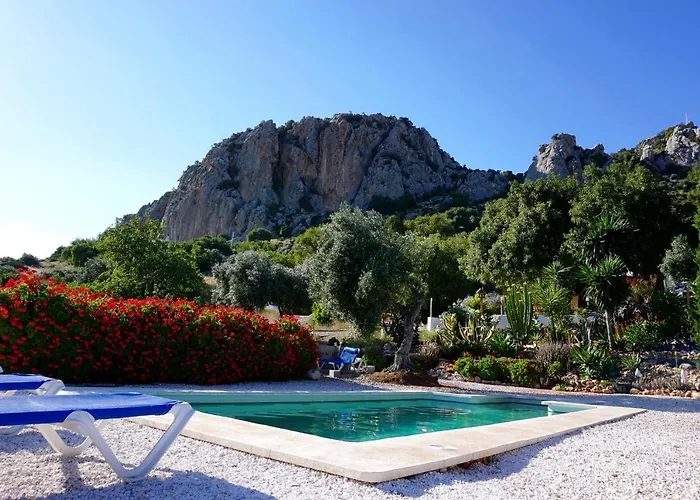 Olive Branch El Chorro