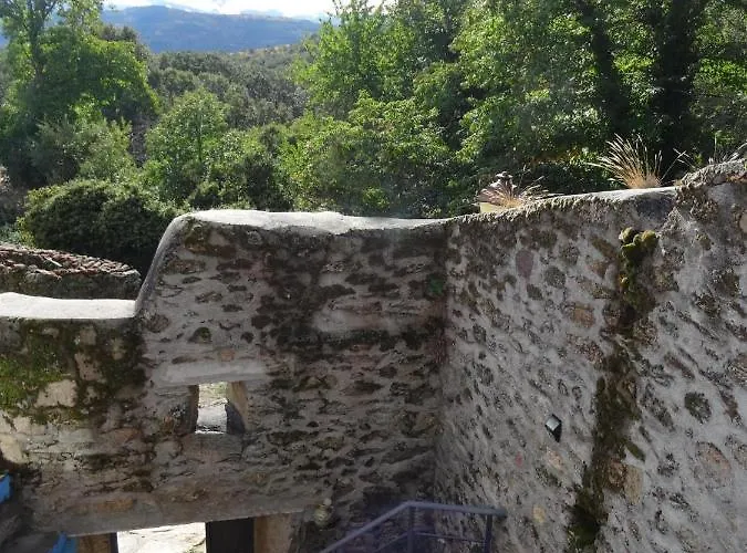 El Patio Chico