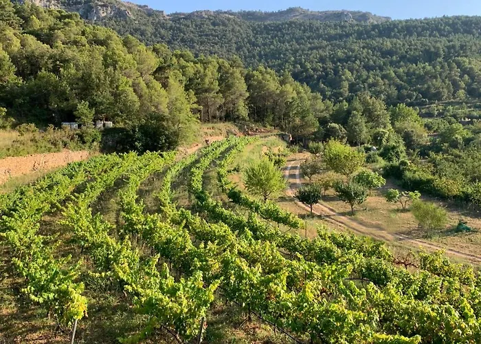 El Celler De Cal Garriga