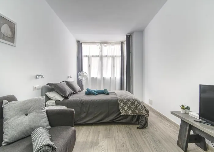 Home2Book Design Playa Las Canteras, Wifi