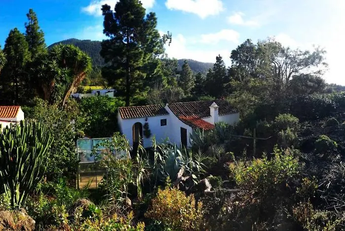 El Oasis