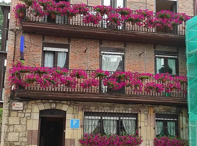 Pension Rosa