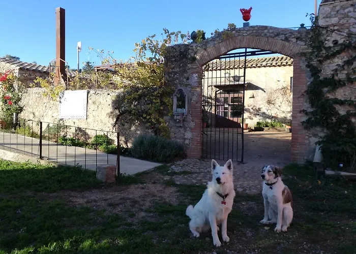 Mas Del Llop Blanc - Dog Friendly Hostal Rural - B&B