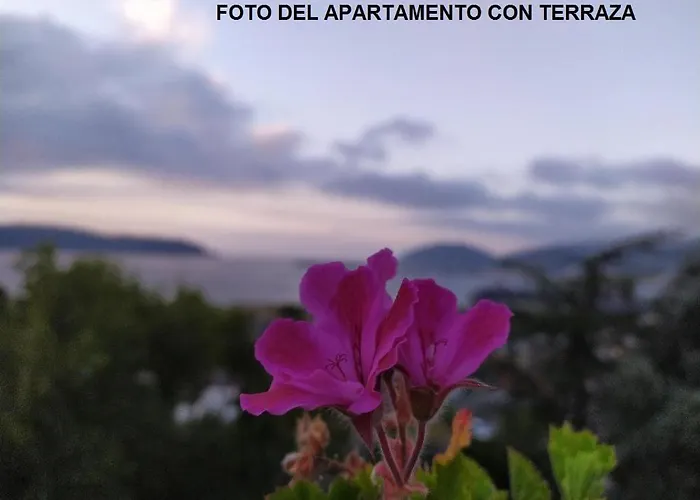 Rua Granxas, n 13, Piso con terraza o Estudio sin terraza