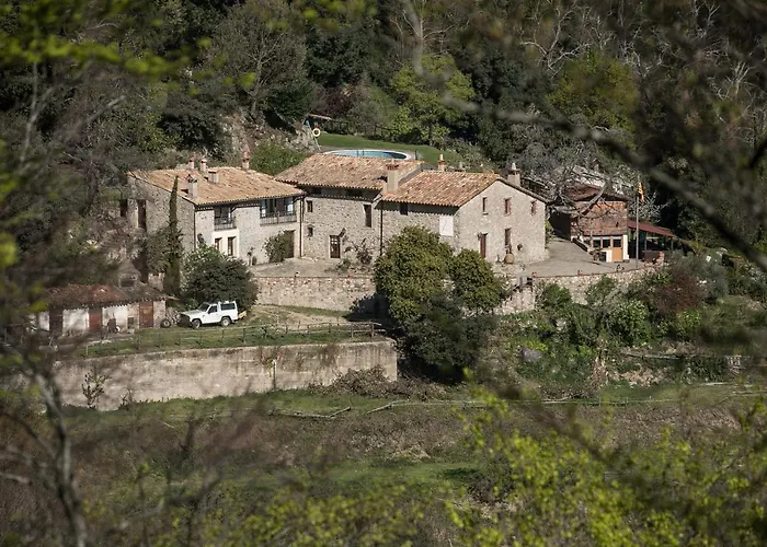 El Buxaus De La Muntanya