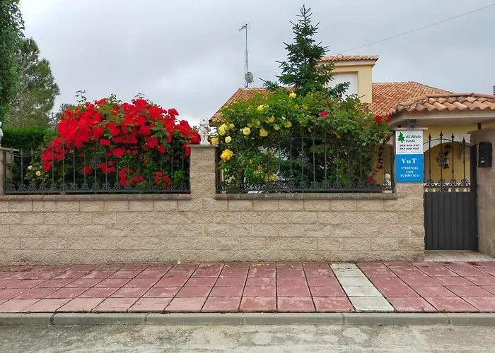 El Abeto Verde