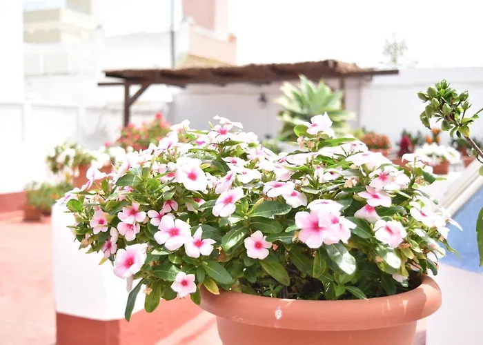 Apartamentos Veedor Cadiz