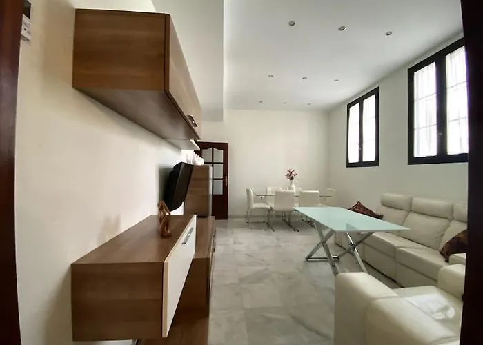 Luminoso Apartamento En Triana
