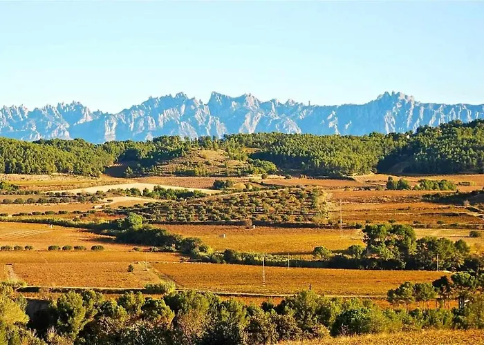 Hotel Rural Hd Riudebitlles Art I Allotjament