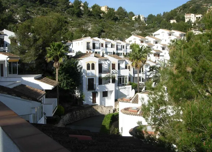 Buganvilla