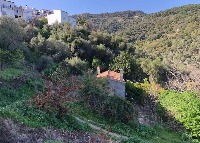 Molino De Santos