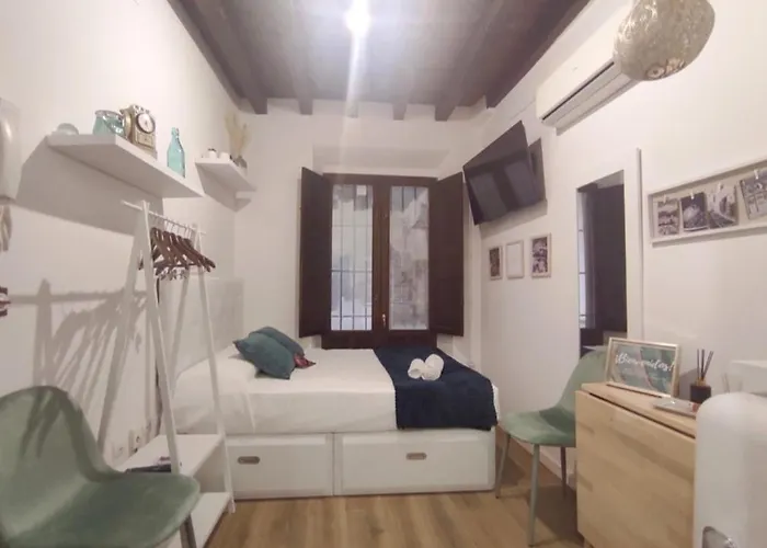Loft en Carrera de la Virgen