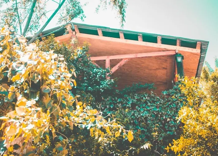 Cabañas Salto Del Laja .