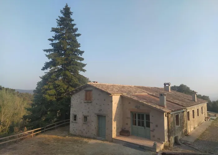La Caseta De El Llancis