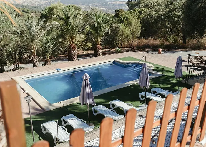 Brisas del Palmeral