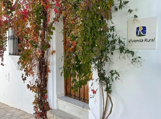 Apartamento con Terraza