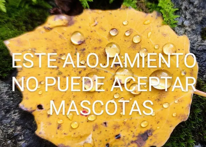Pleta del Mont Atico