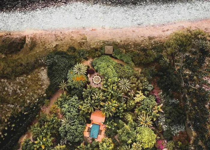 El Jardin De La Palapa