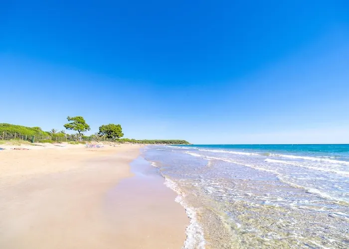Las Palmeras Camping&Bungalow