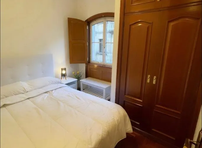 Habitacion Con Bano Privado En El Centro De Vigo - Casa Particular