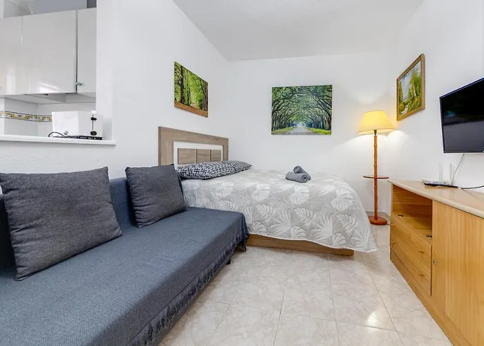 Studio Relax Playa Del Cura, Felix Rodriguez 3