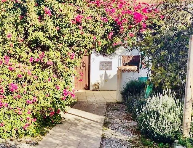 Lavender Lodge Almeria