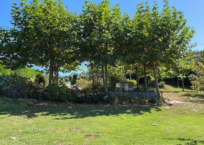 Villa Olimar