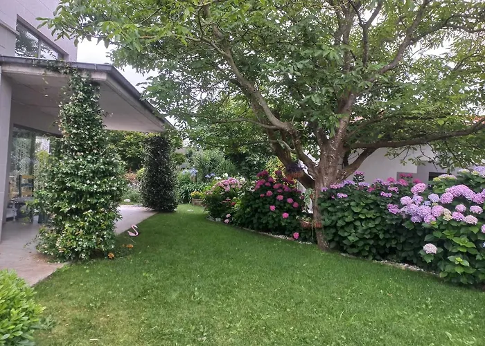 Habitacion En Casa Moderna Con Jardin