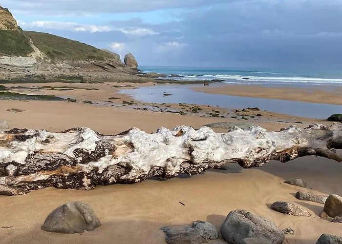 Atractivo Apto Playa De Usgo