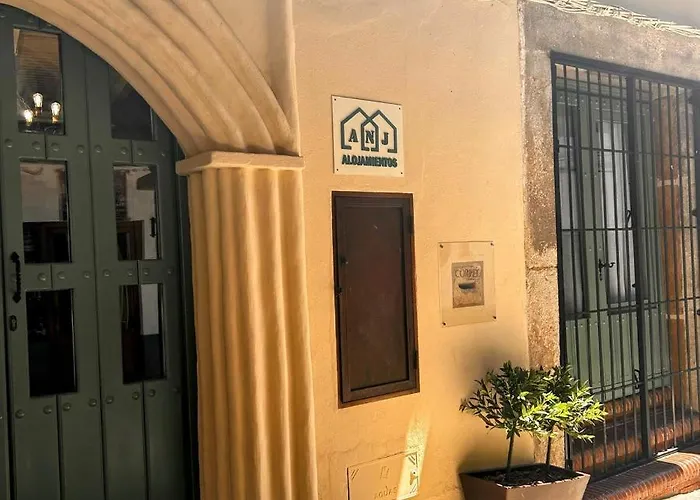 Anj Estudio Templete