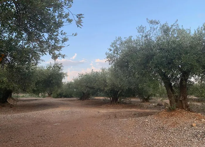 Chalet Espagne El Faro Location Au Mois