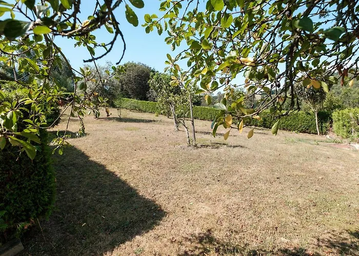 A Casa De Andrea