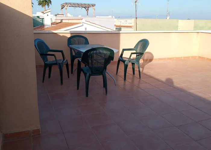 Palomaresiii