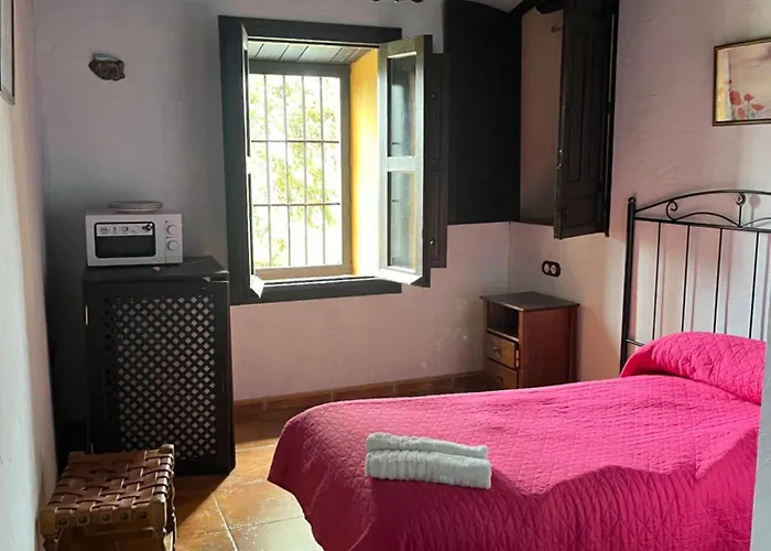 Apartamentos En Alfacar
