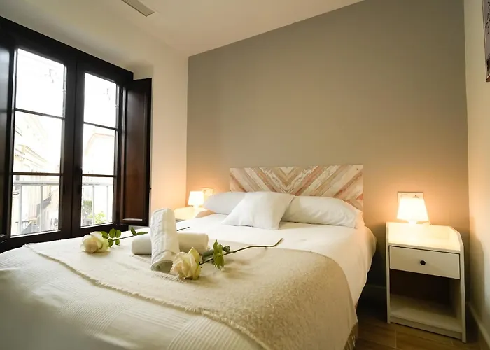 Apartamentos Consistorio Live