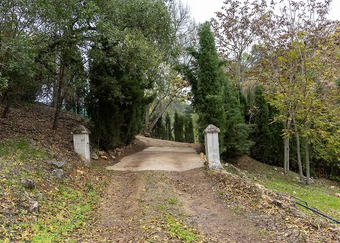 Molino De Gris Cazorla
