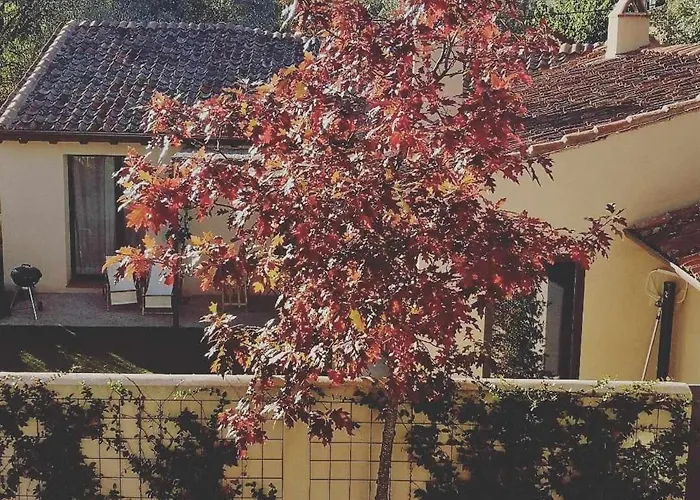 La Alberca Casa Con Jardin Y Piscina