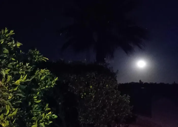La Buganvilla, Descanso Entre Olivares
