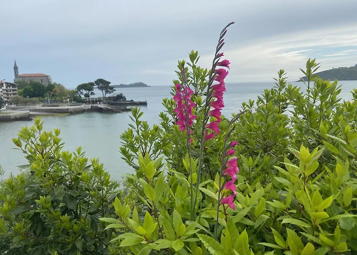 Mundaka Beachfront House