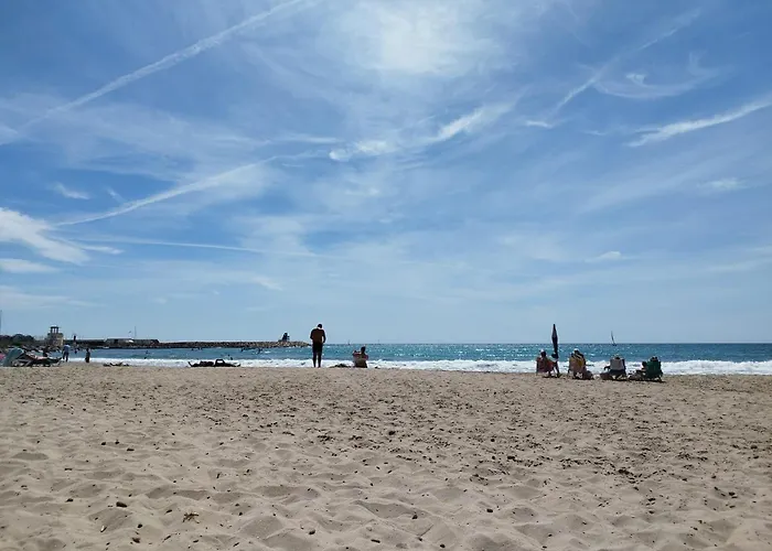 Alicante El Campello Dariodoris