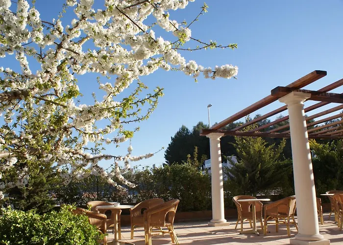Hotel Patilla Ciudad de Requena