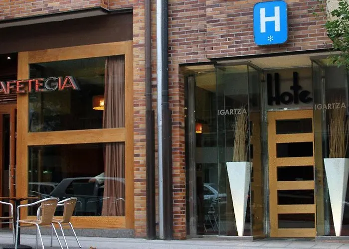 Hotel Igartza
