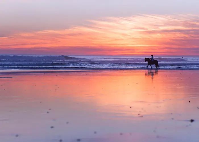 Chalet Con Impresionantes Vistas En Conil