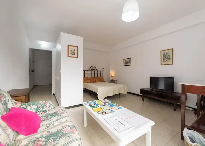 Loft Luminoso Y Amplio Muy Cerca De Las Canteras