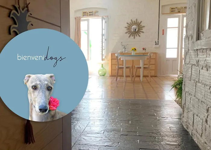 Loft Con Patio En La Zona De Tapas Pet Friendly