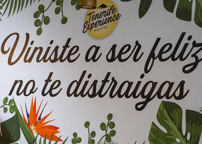 Tenerife Experience Hostel