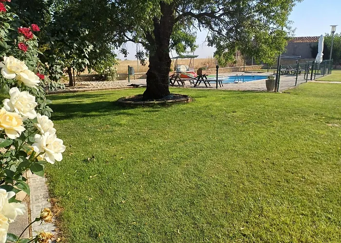 El Almendro del Cura